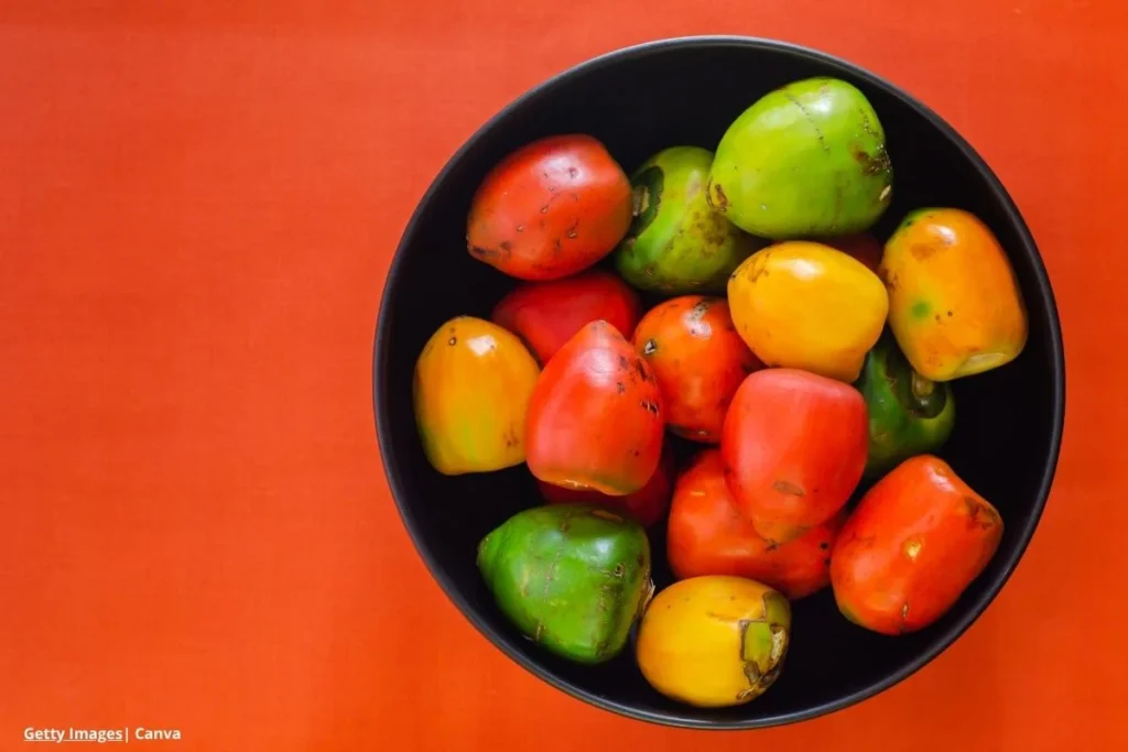 Chontaduro propiedades nutricionales y usos culinarios