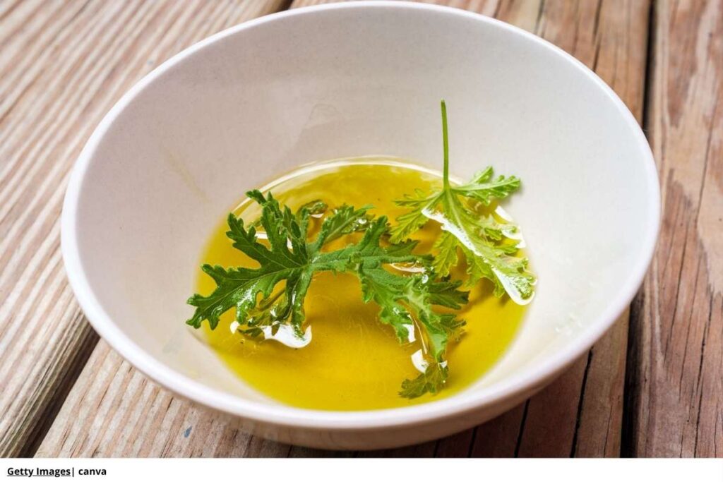 Cítricos y Hierbas Aromáticas: Un Fresco Repelente