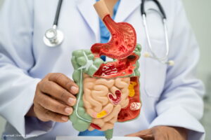 salud digestiva, salud intestinal, Buena salud digestiva y tránsito intestinal, Más Bienestar